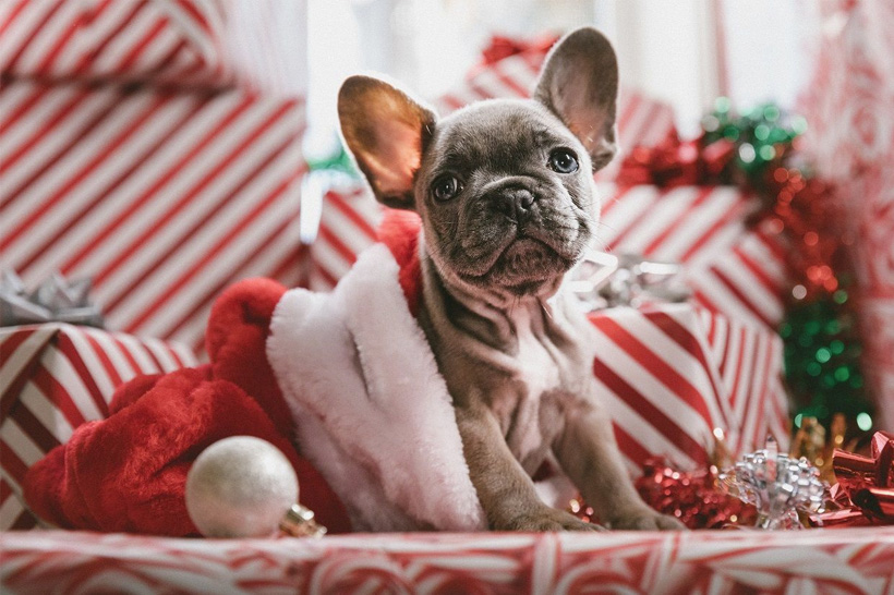 How to Prepare Your eCommerce Store for Christmas